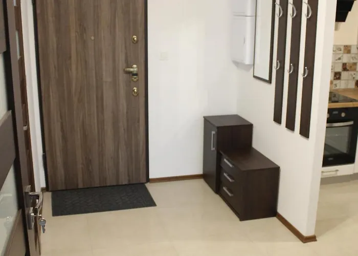 公寓 Nowe Wyposazone Mieszkanie Blisko Centrum Dla 4-os 热舒夫