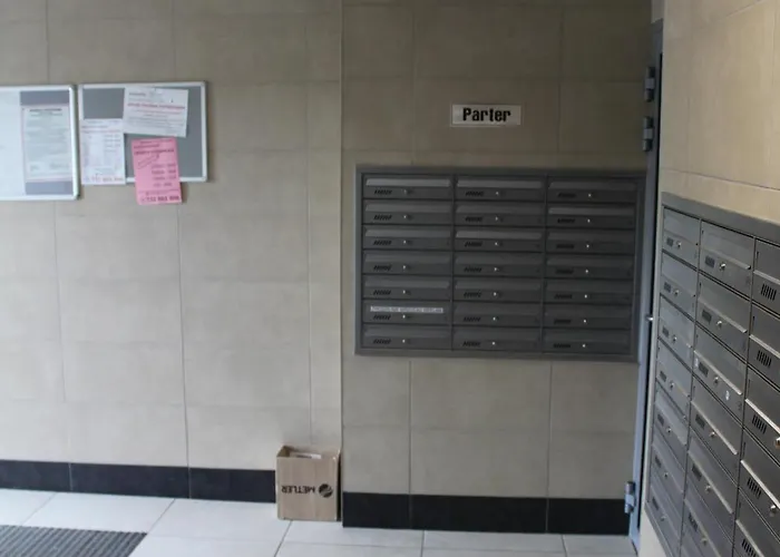 公寓 Nowe Wyposazone Mieszkanie Blisko Centrum Dla 4-os 热舒夫